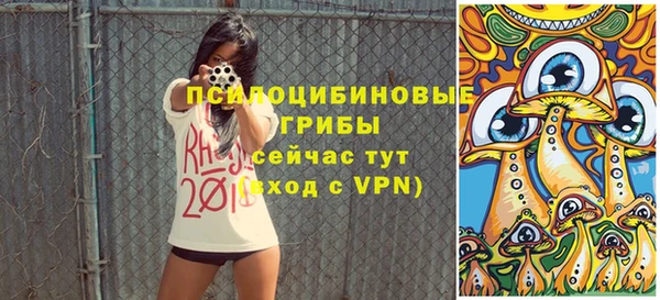 прущая мука Алзамай